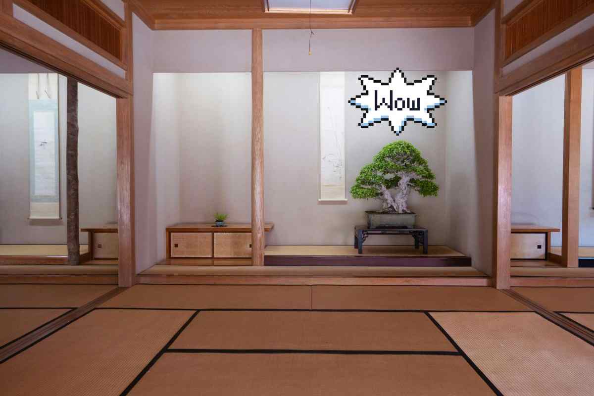 Bonsai giapponese