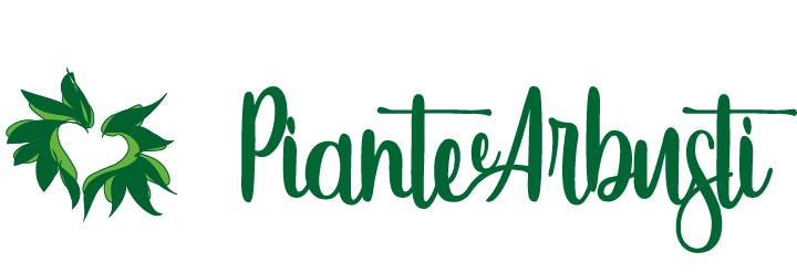 Piante e Arbusti
