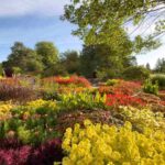 Giardino con moltissime piante colorate