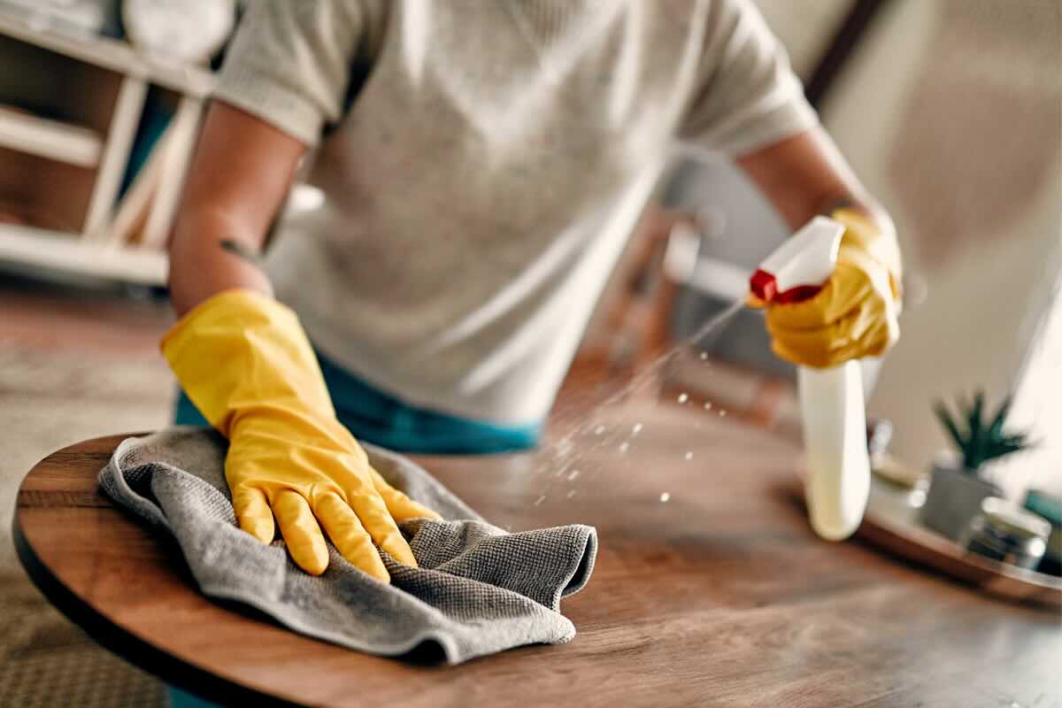 mano con spray e panno per fare polvere