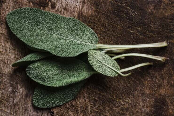 Foglie di salvia su tagliere in legno