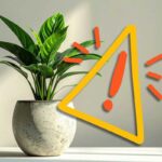 Vaso con pianta e simbolo attenzione