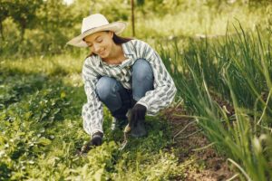 Donna inginocchiata a terra che cura l'orto